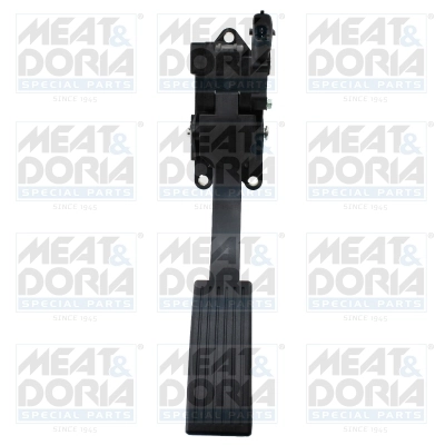Accelerator Pedal Unit